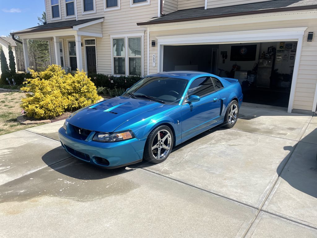 2003 Terminator Cobra