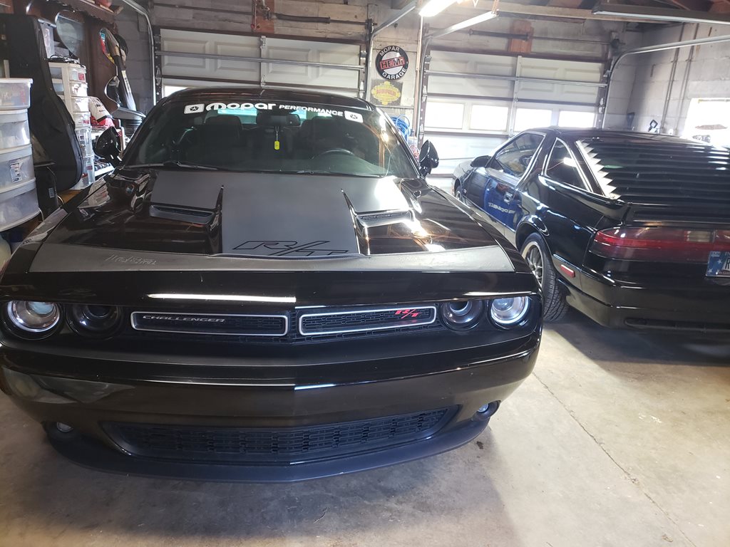 Black Beauty